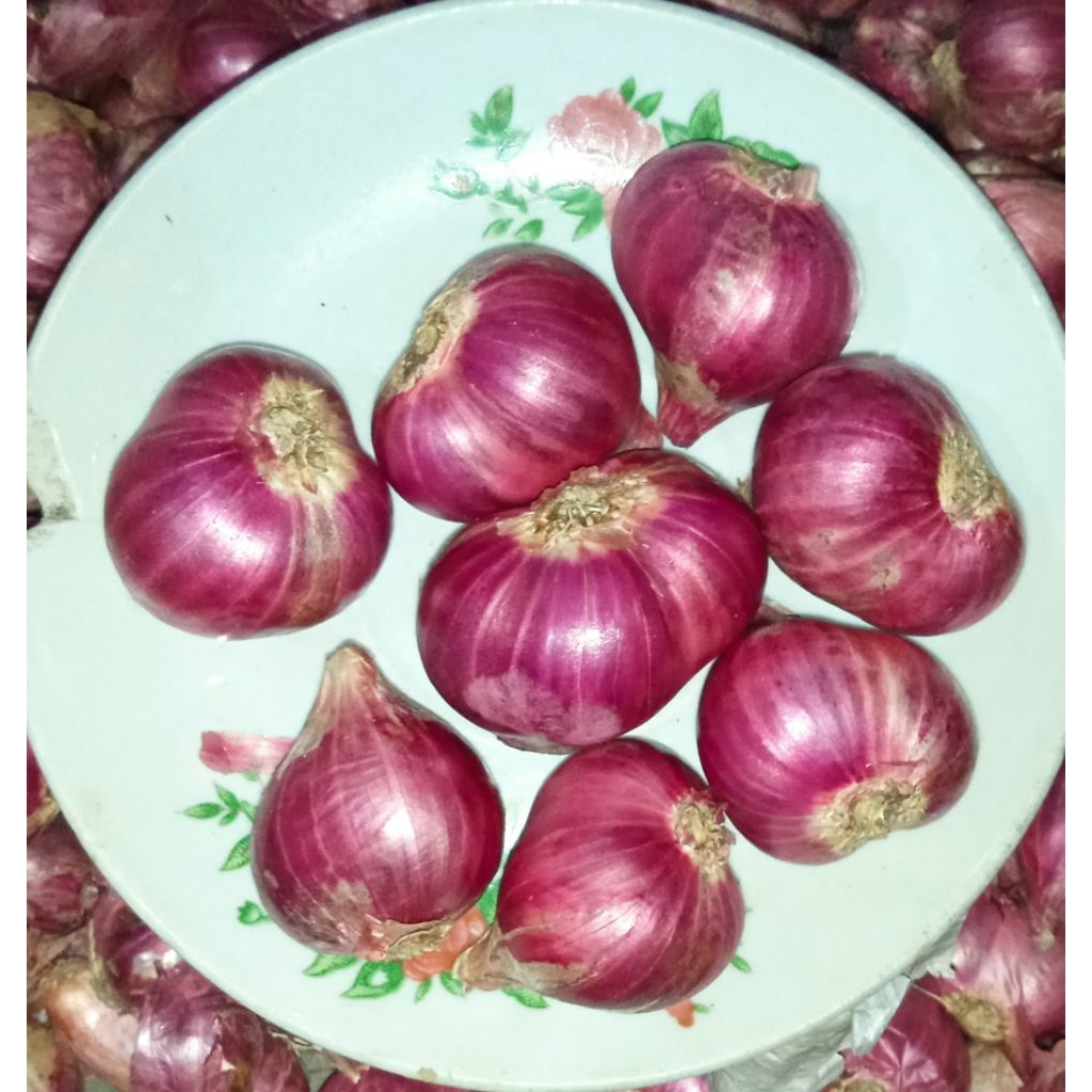 

Bawang merah probolinggo super 500gr