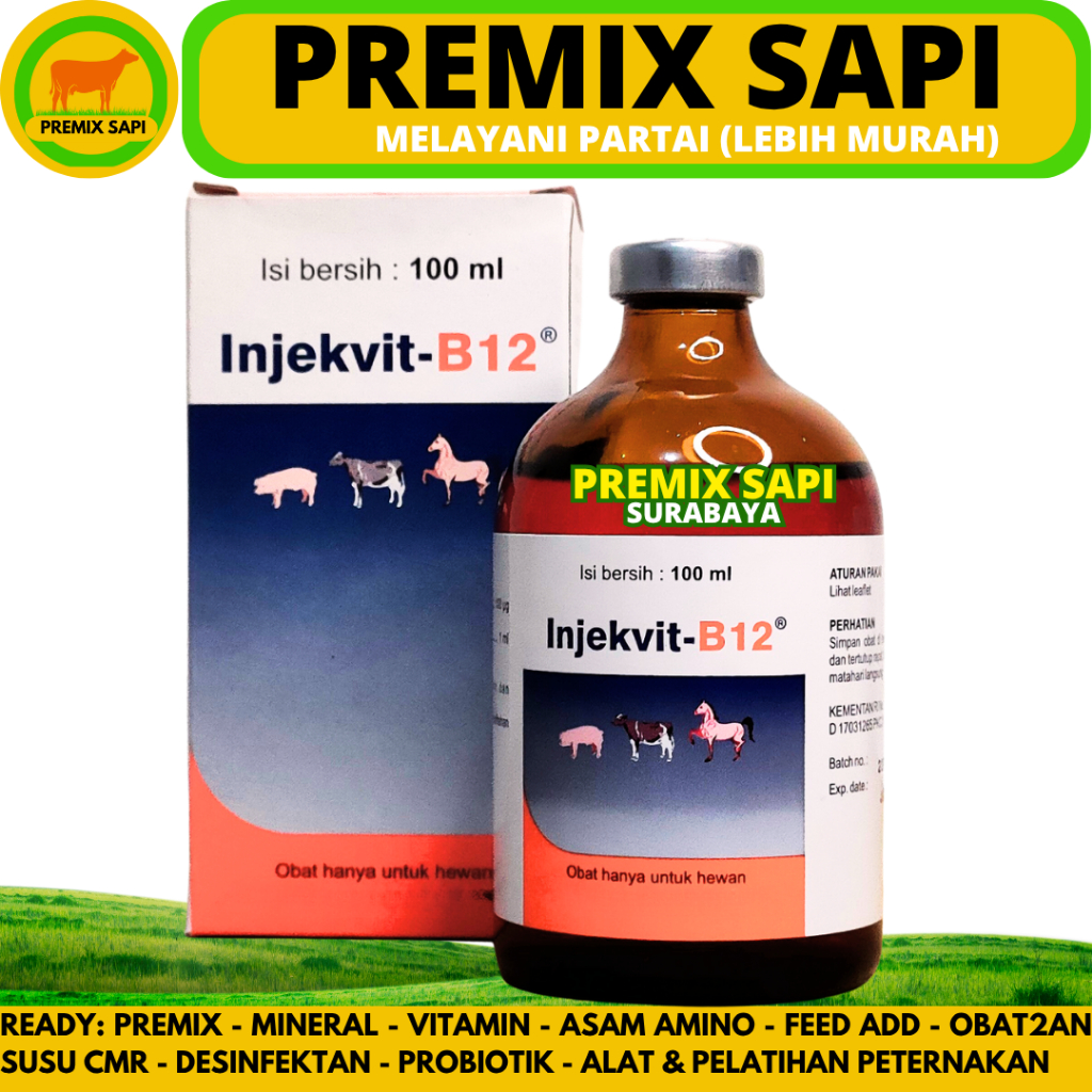 INJEKVIT B12 100 ml - Obat B12 untuk perbaiki kondisi tubuh, anemia dan tingkatkan nafsu makan hewan