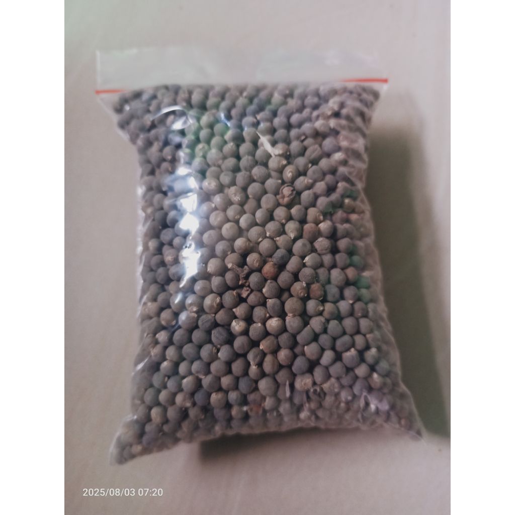 

JUAL BENIH OKRA HIJAU 200 gram-KELOLA BOGA SEED
