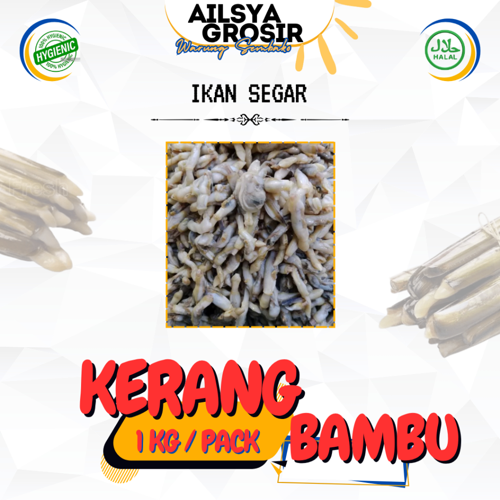 

Kerang Bambu Segar - Fresh 1 Kg