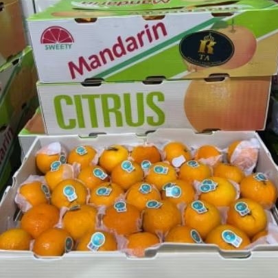 

Buah Jeruk Wokam Citrus per 1 dus karton