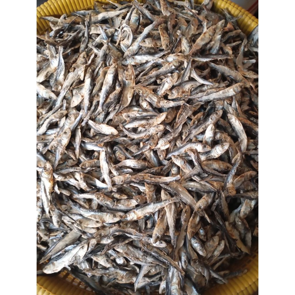 

IKAN ASIN LEMURU KERING fresh, 1 kilogram TANPA PENGAWET