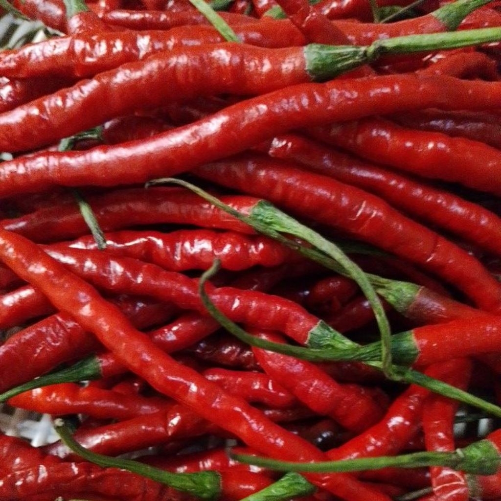 

Cabai Merah Kriting Pilihan Fresh 1 KG