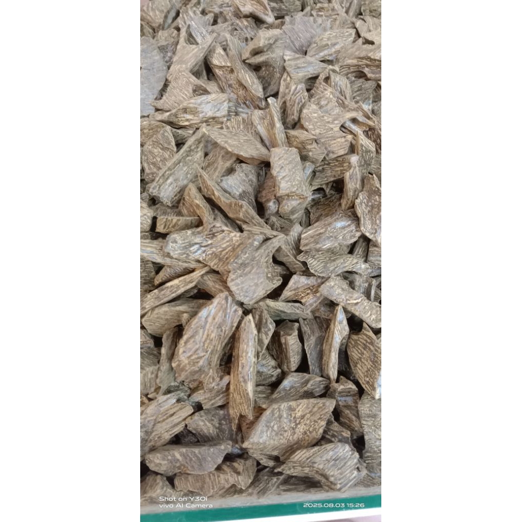 Muhassan Gaharu Merauke Pure FT no 1 / Gaharu Merauke / Muhassan Merauke / Gaharu Merauke Pure ( ISI