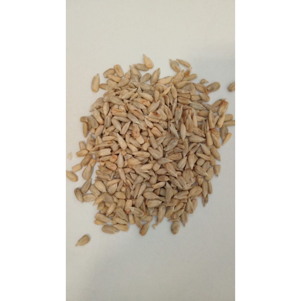 

BIJI BUNGA MATAHARI | SUNFLOWER SEEDS (500 GRAM) 100% ASLI