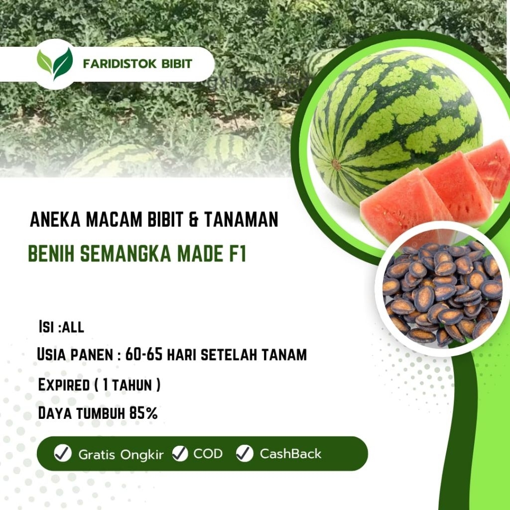 200 biji benih semangka Made F1