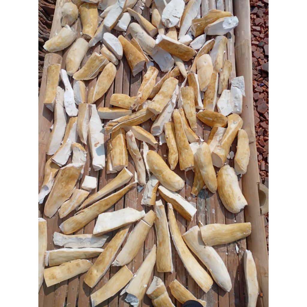 

Gaplek singkong kering 1 kg