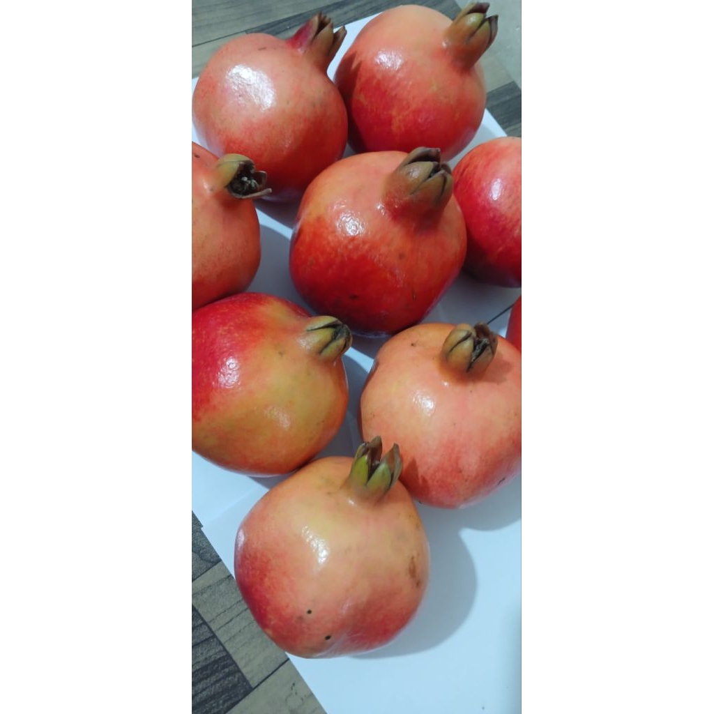 

delimamerahmanissuper