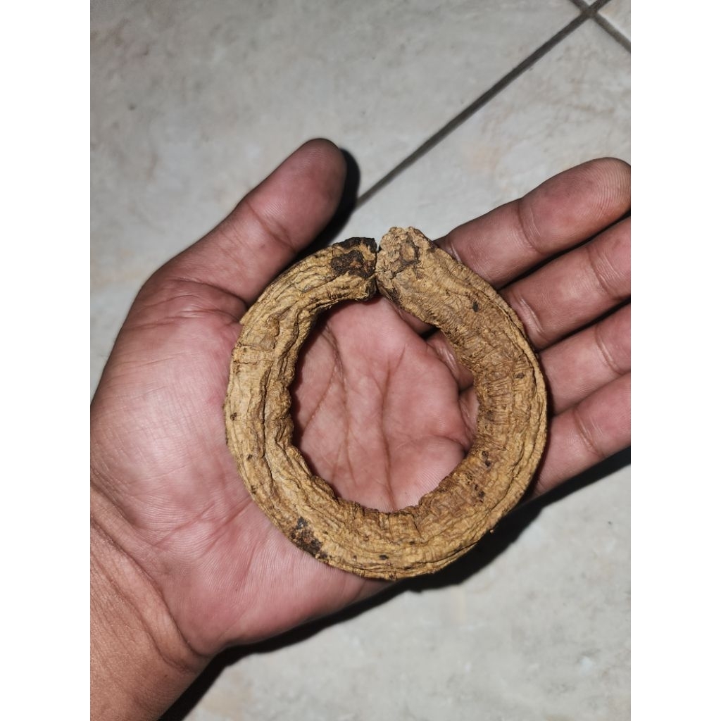 barang kuno warisan jadul langka peninggalan mbah sperti gelang antikk unik