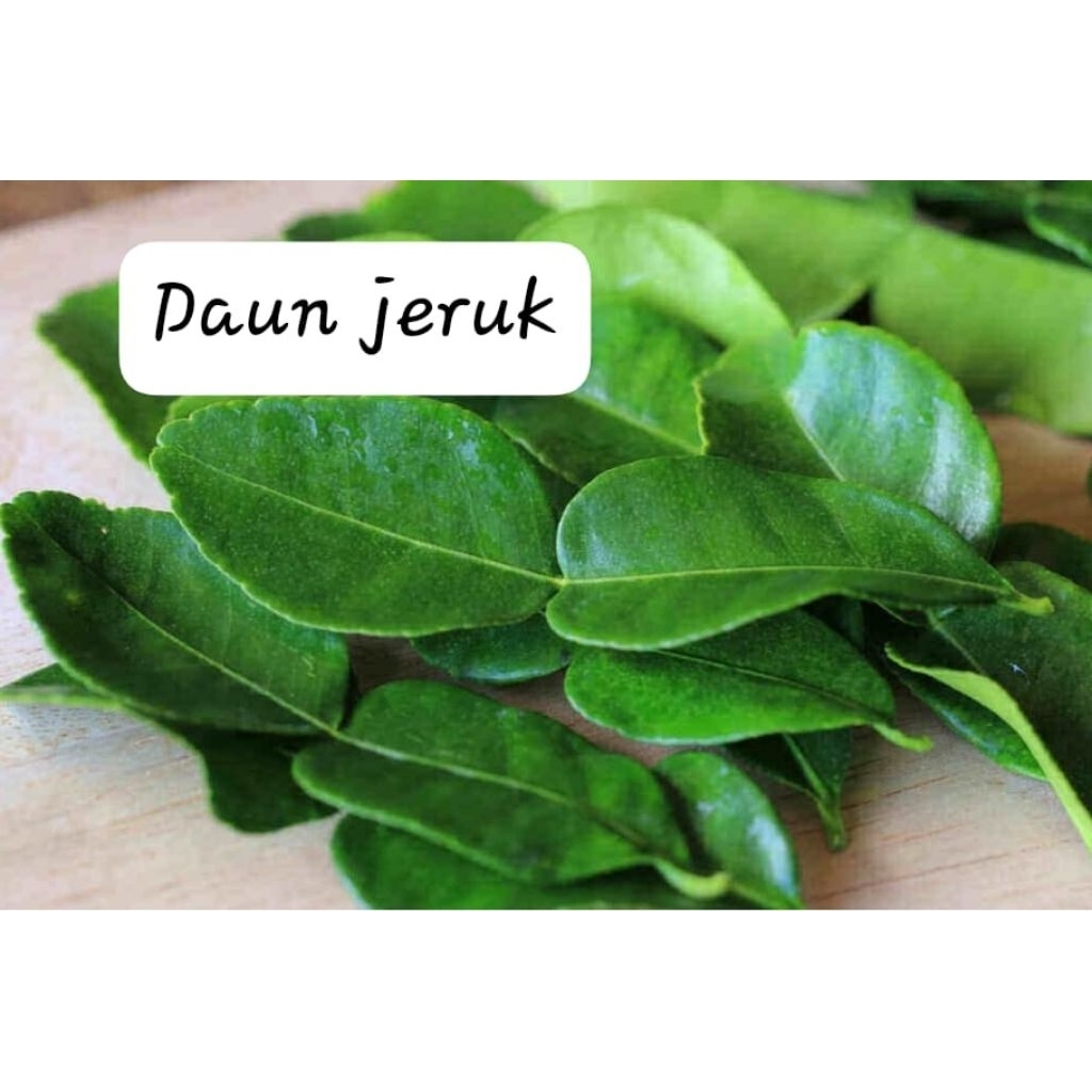 

READY daun jeruk fresh 50 gr