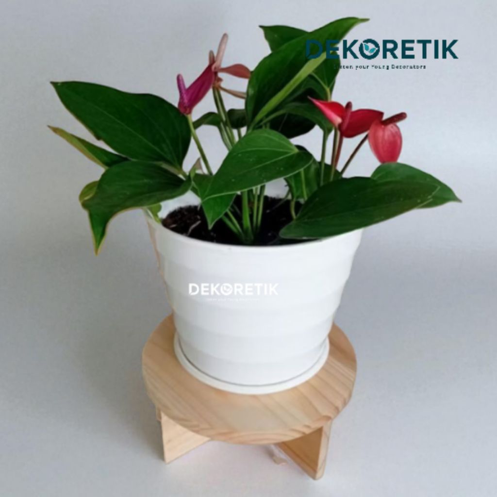 Tatakan pot kayu lingkaran bulat kayu jati belanda standing planter dekorasi rumah dan taman