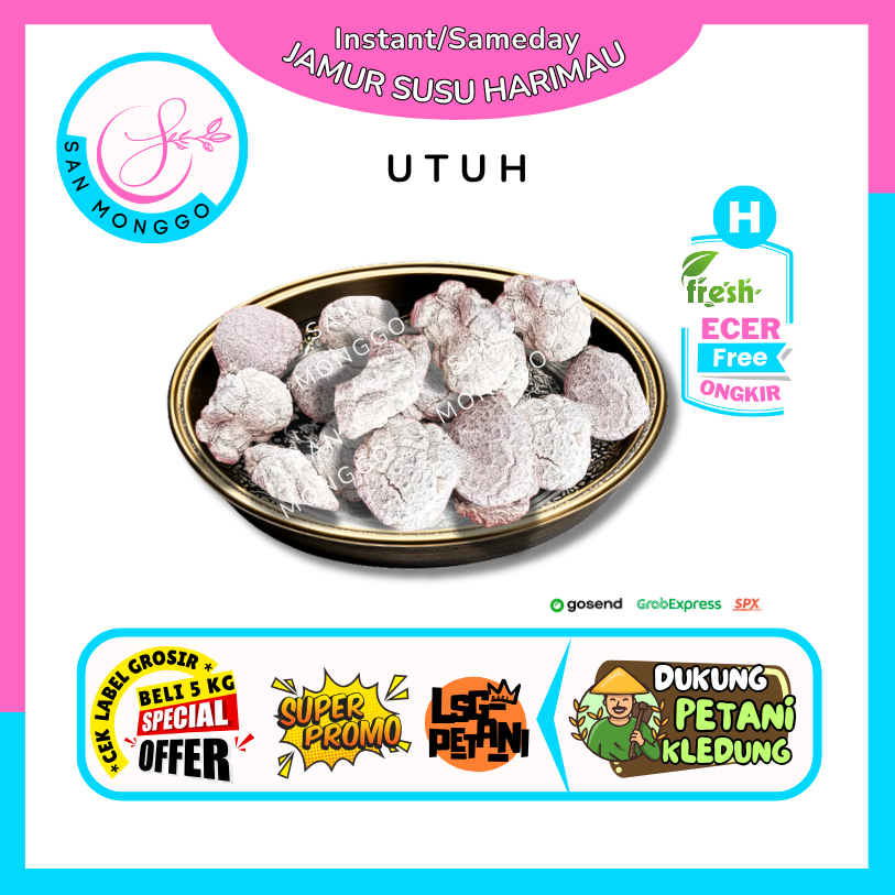 

Sanmonggoo >> Jamur Harimau Susu Utuh -- Hasil Bumi Sindoro Sumbing Ecer (H)