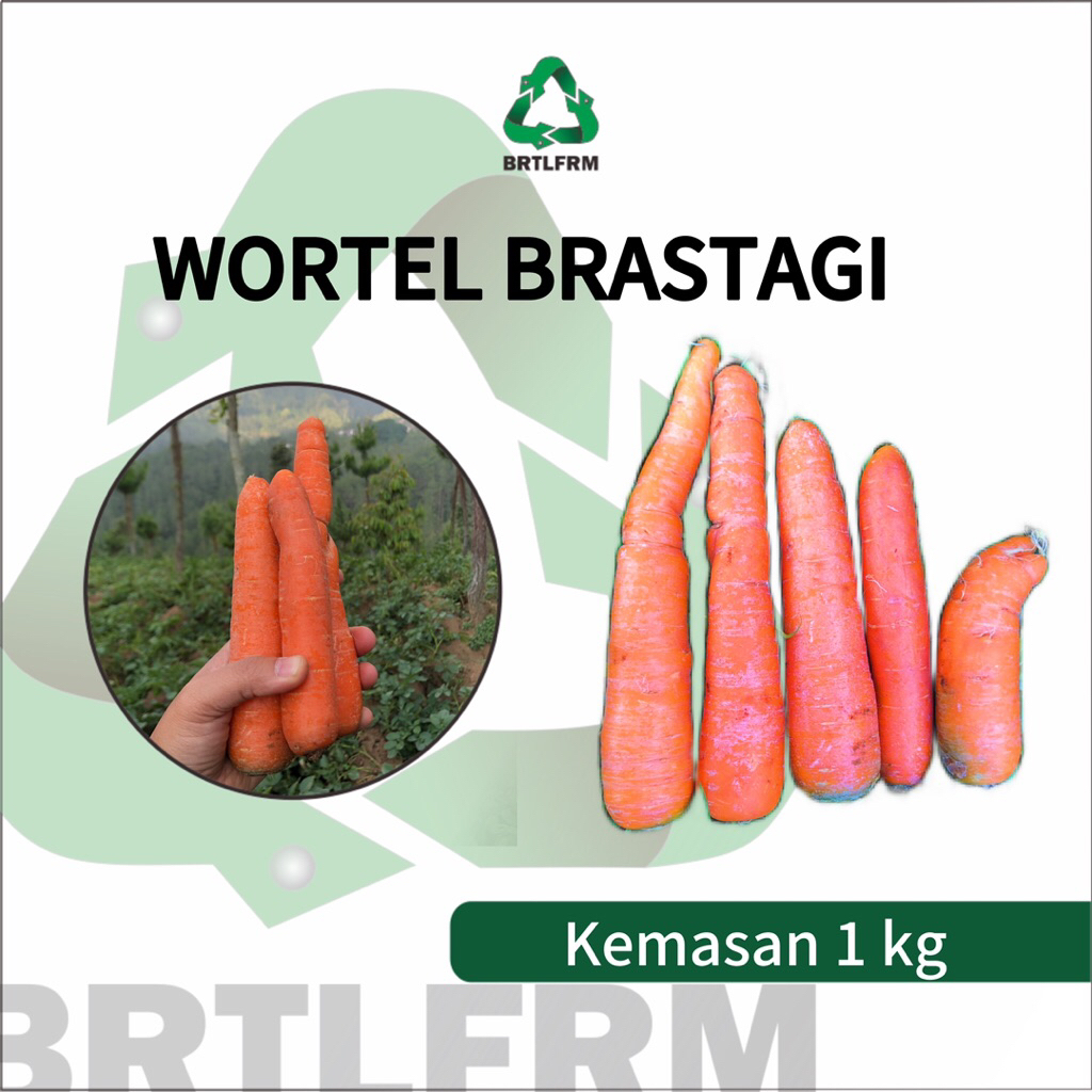 

WORTEL BRASTAGI FRESH - 1 KG