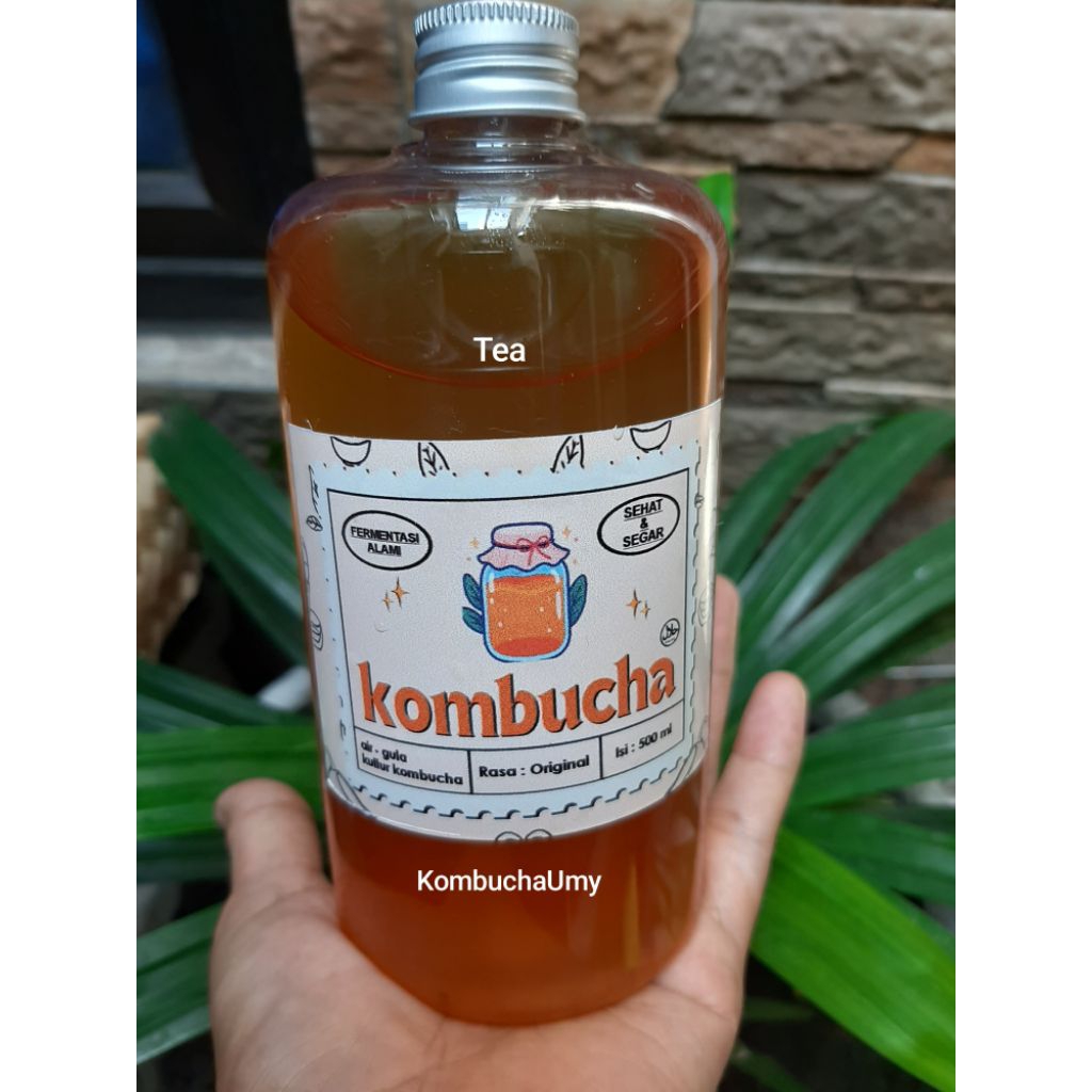 

Minuman Kombucha probiotik Tea 500 ml