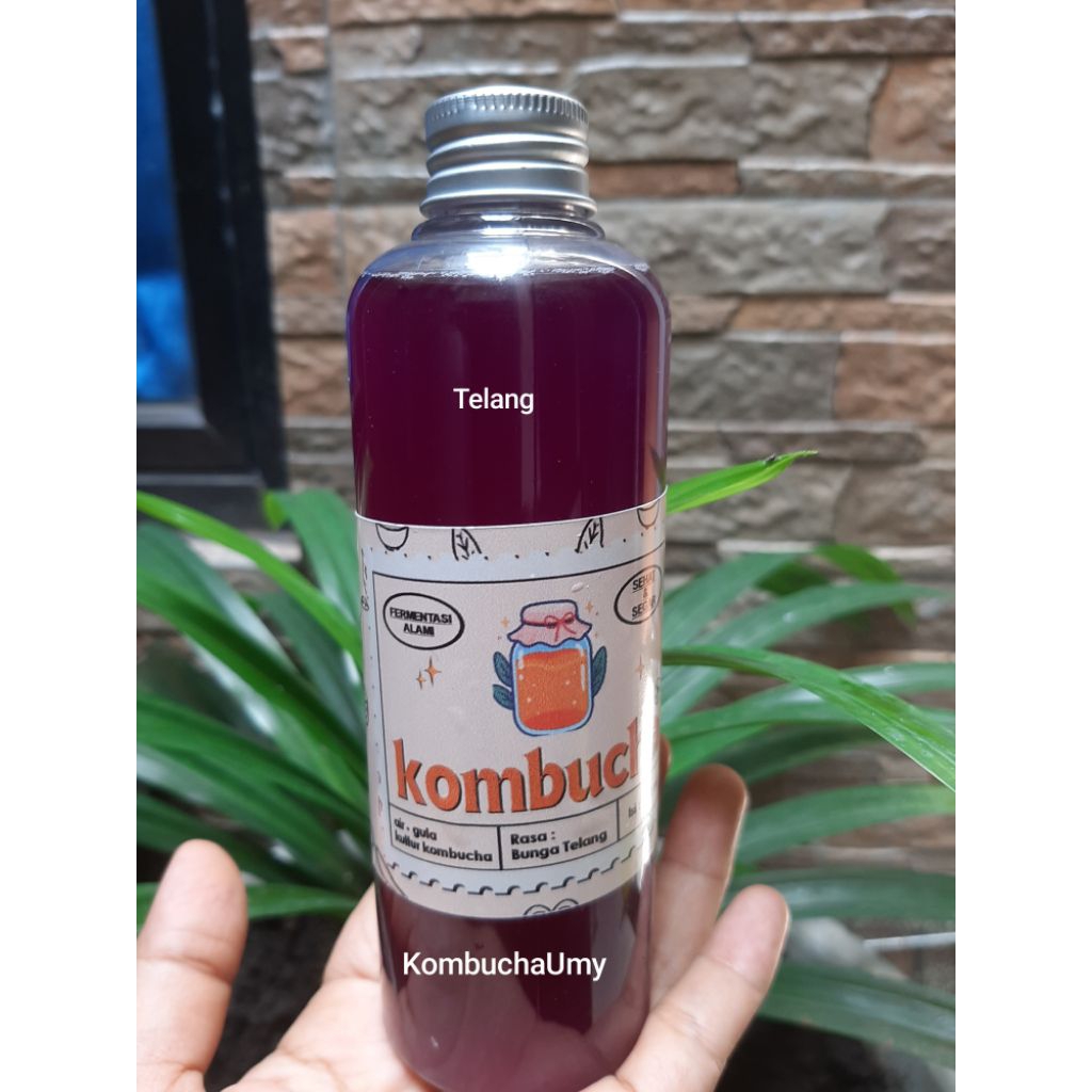 

KOMBUCHA siap minum 250 ml minuman probiotik
