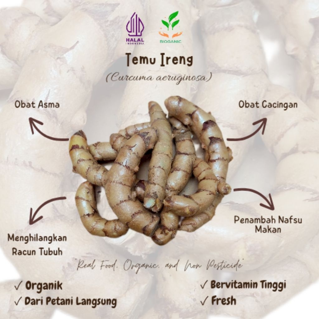 

Temu Ireng Segar 1Kg Non Pestisida