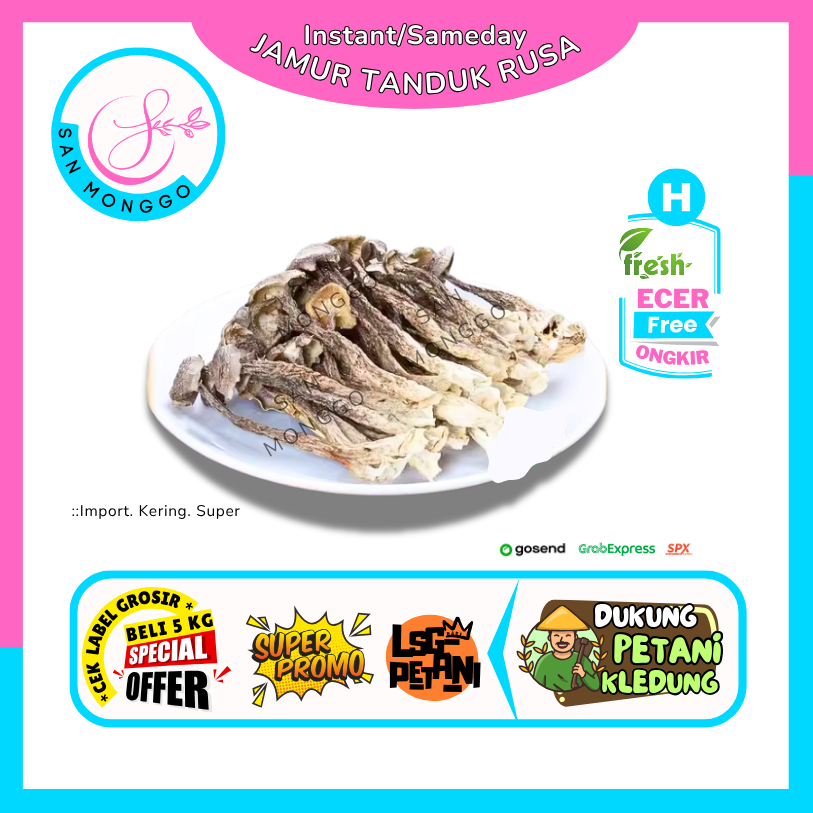 

Sanmonggoo >> Jamur Tanduk Rusa -- Hasil Bumi Sindoro Sumbing Ecer (H)