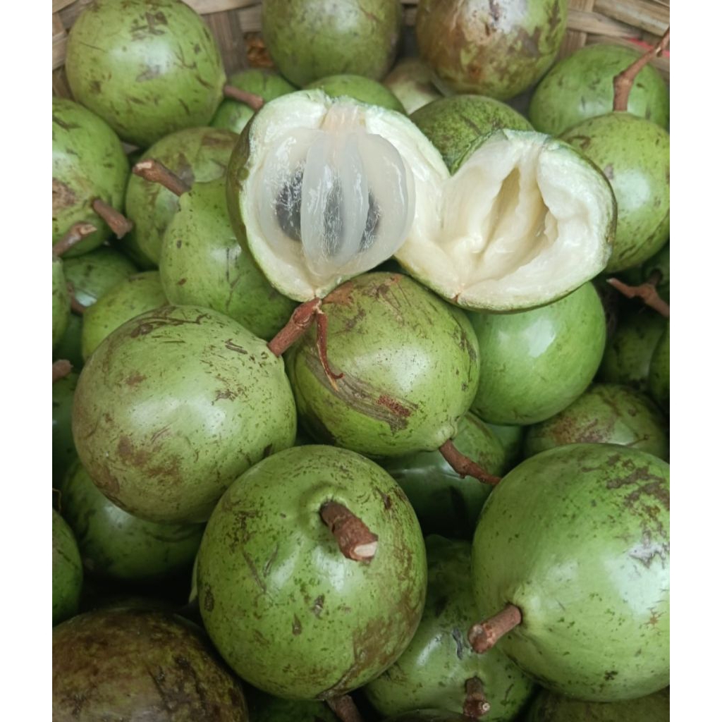 

sawu duren fresh netto 1000gr