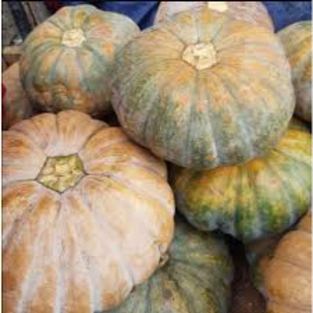 

Labu Kuning 1buah (-+) 2-3kg