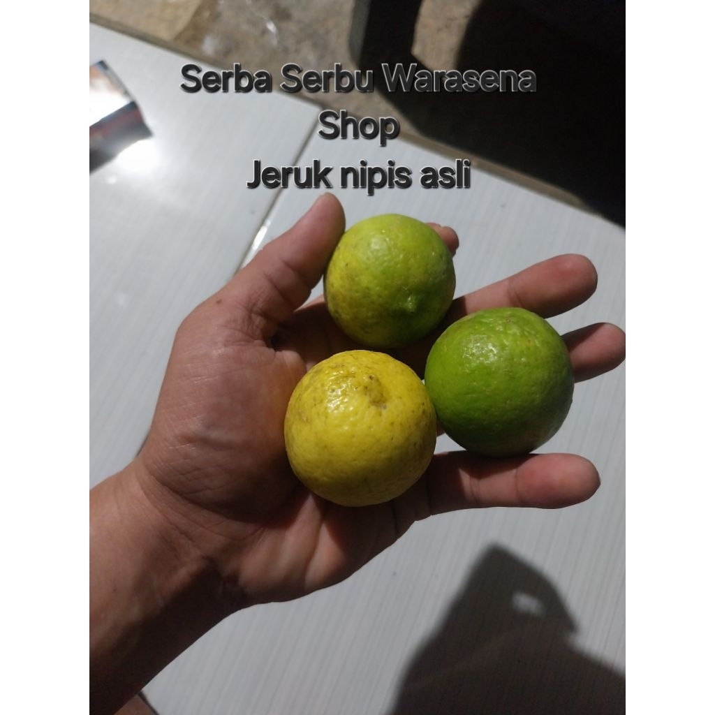

Jeruk nipis asli fresh baru metik 500 gram