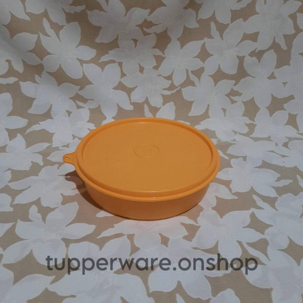 Lunch Box Large deep bowl Ori Tupperware