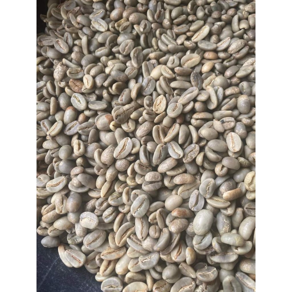 

Arabika Natural klasik Orins Arjuno