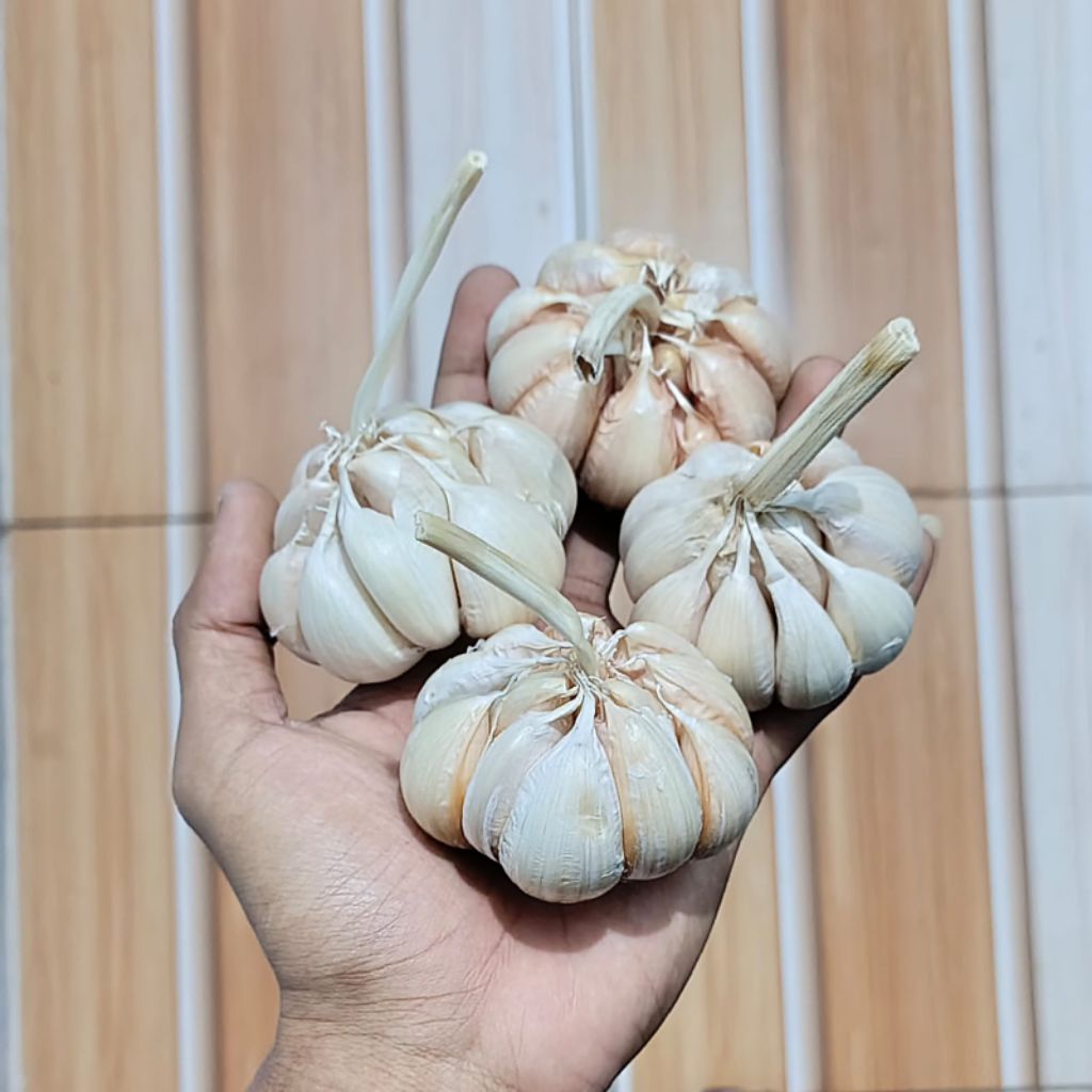 

bawang putih bersih termurah 500gr 1kg