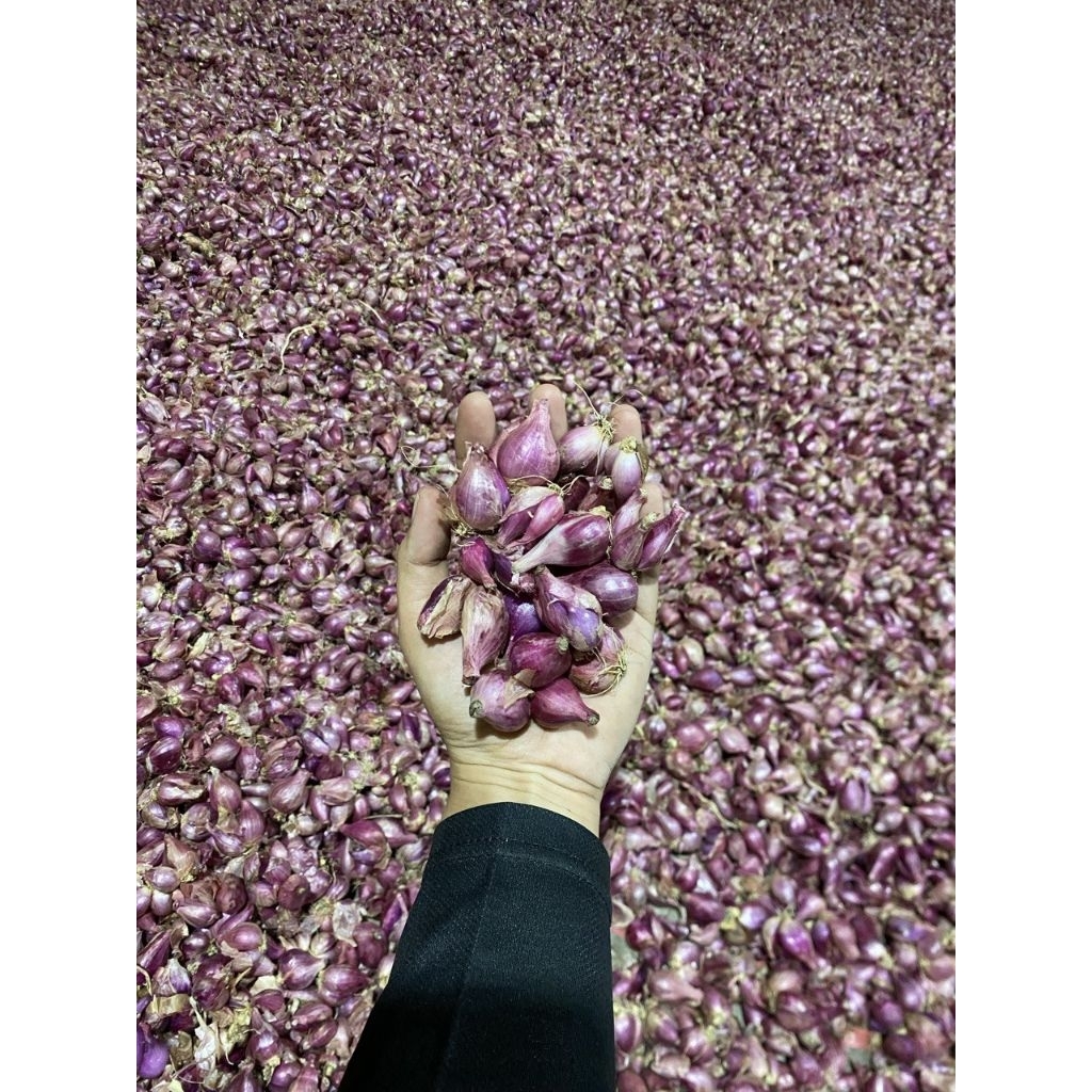 

(1000gr) bawang merah murah ukuran kecil tanggung campur (J)