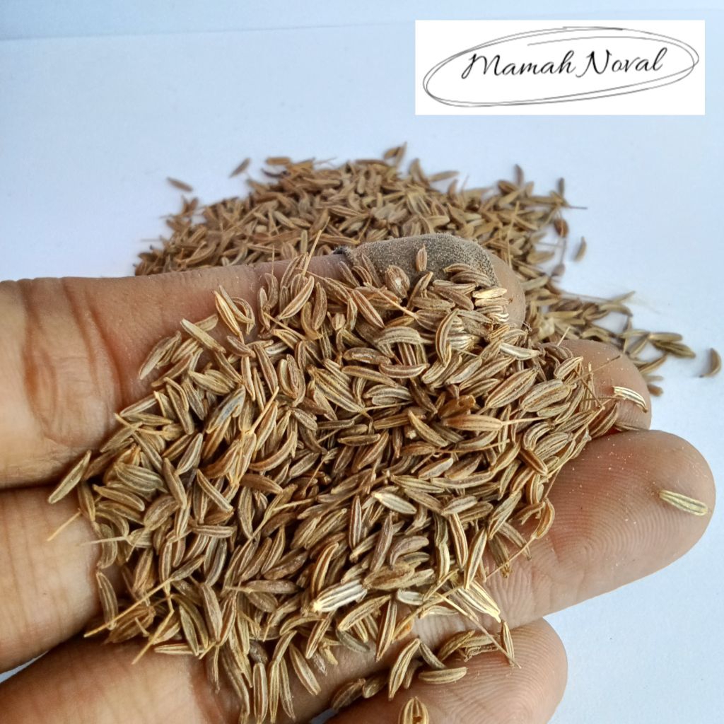 

jinten 50 gram / bumbu dapur / rempah / herbal / penyedap