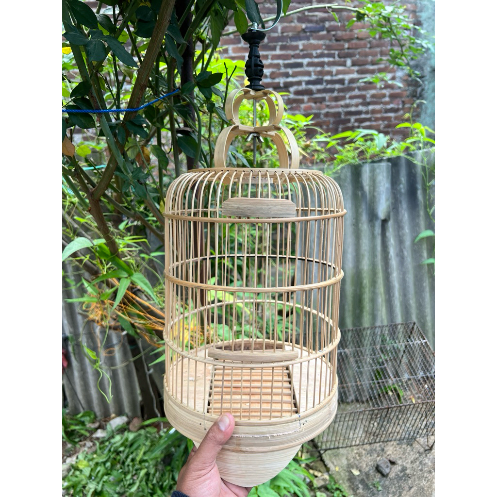 kurung sangkar pleci burcil replika cungkok minimalis bagus ga usah rakit tinggal pakai set cepuk da