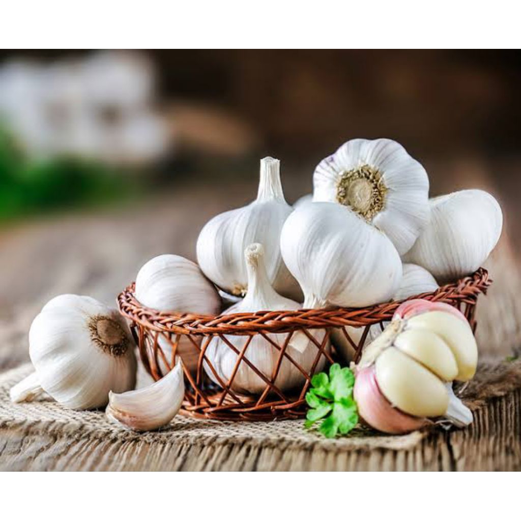 

Bawang Putih Super Fresh 500Gr