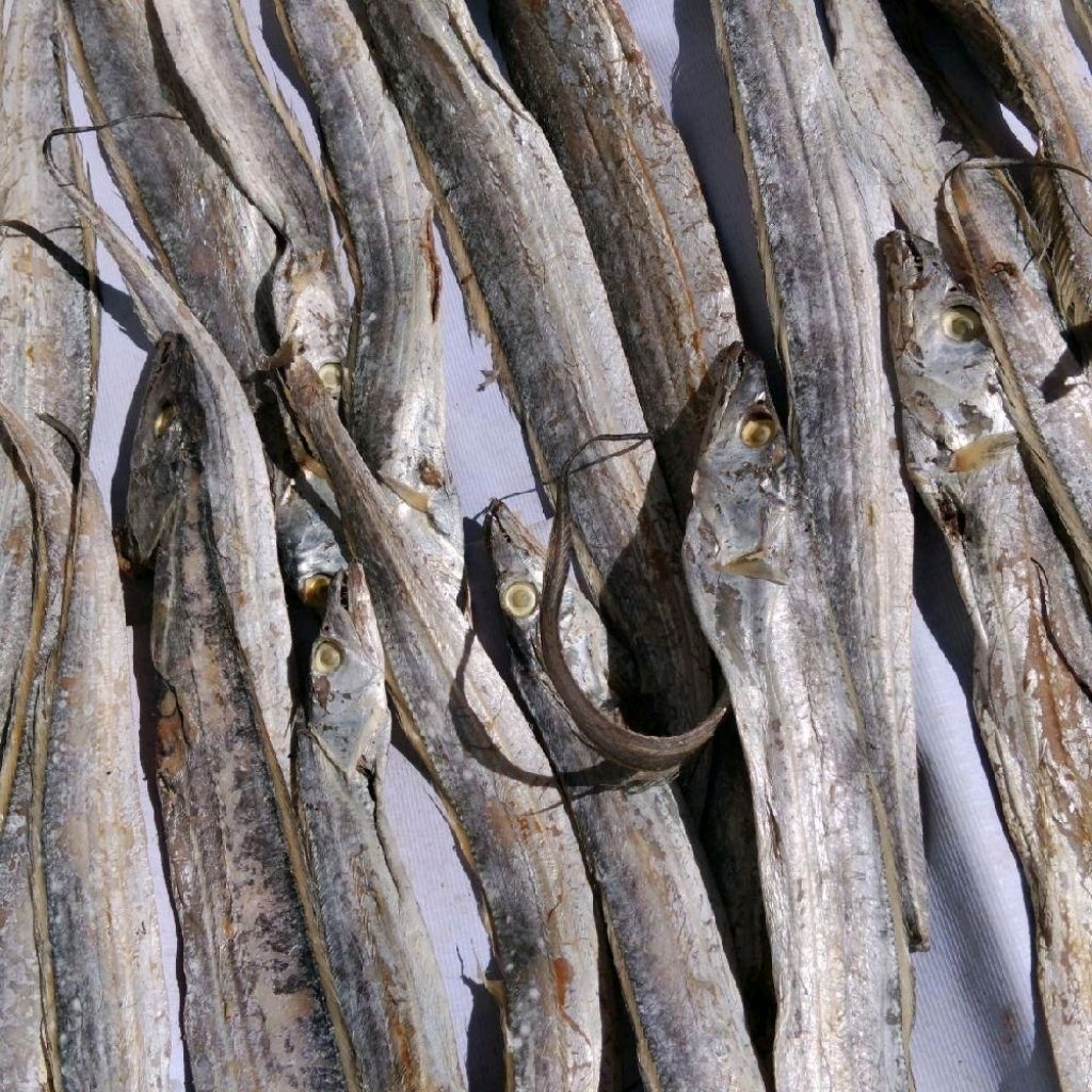 

Layur *besar Asin termurah 1kg grosir