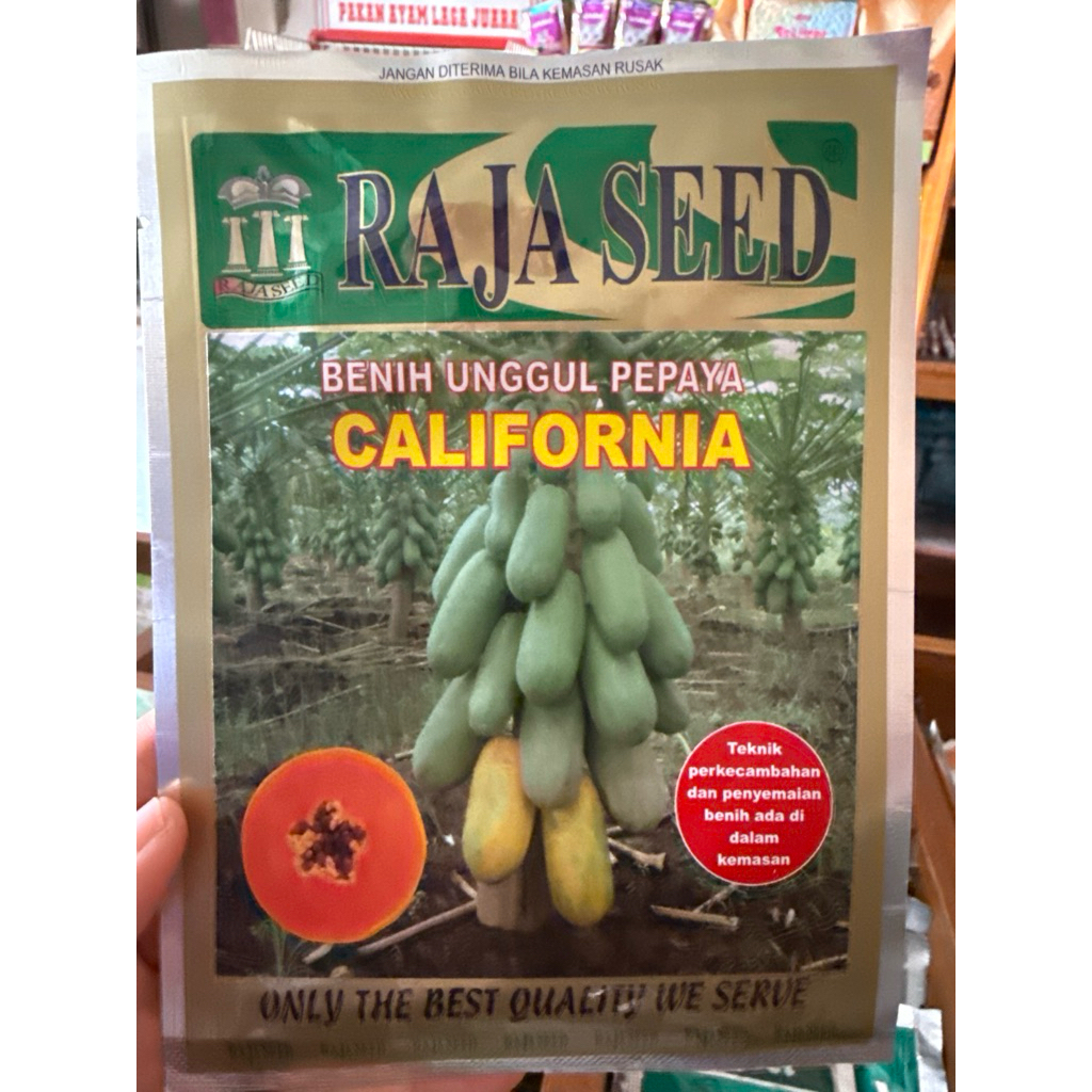 BENIH PEPAYA CALIFORNIA 1 GRAM PRODUK RAJA SEED