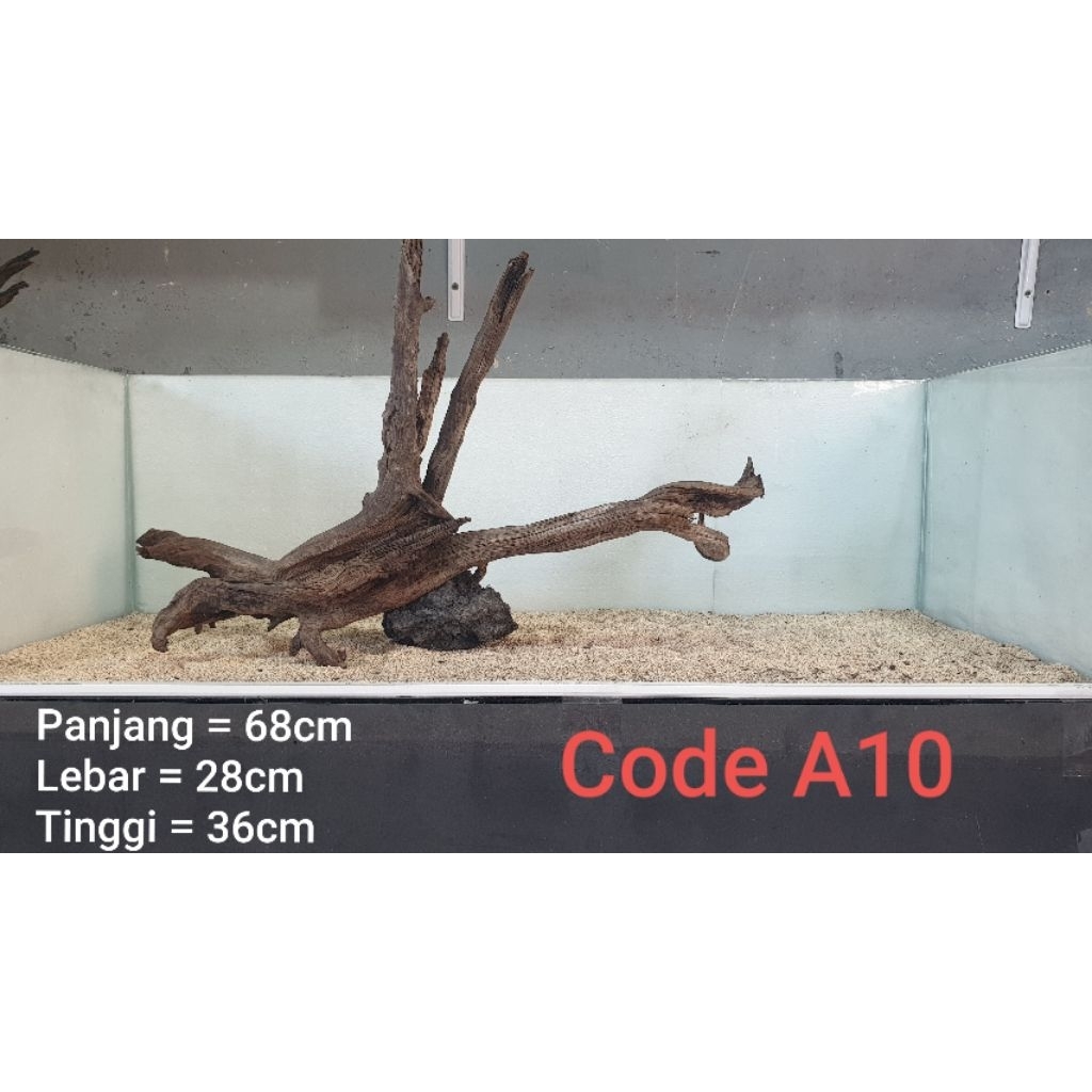 kayu santigi ( kayu tenggelam )