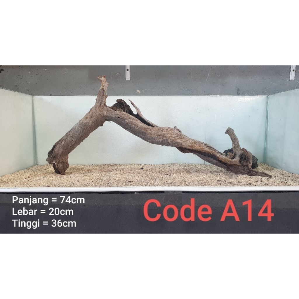 kayu tenggelam (santigi)