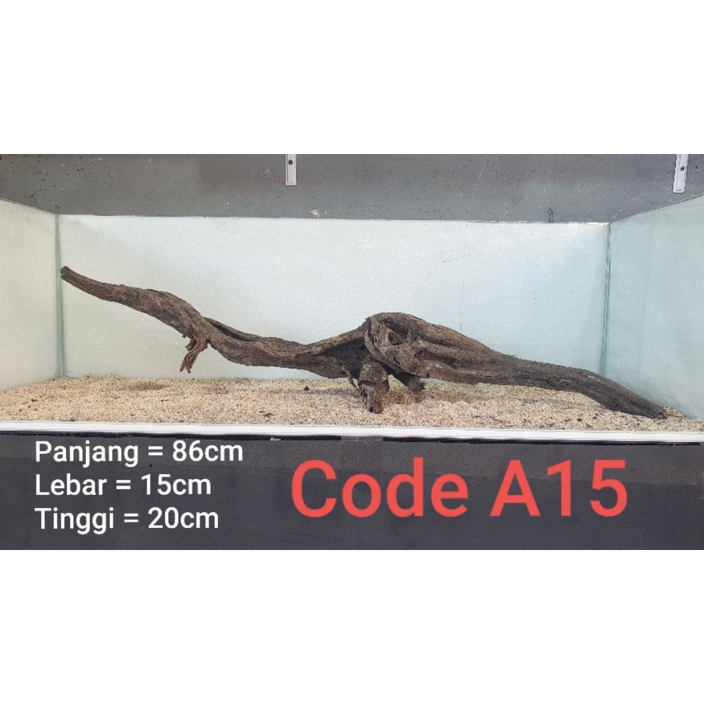 kayu santigi aquascape