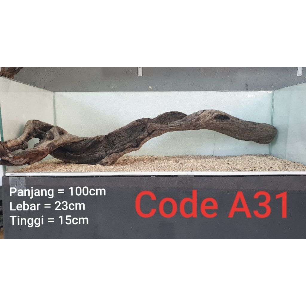 kayu santigi ( kayu tenggelam)