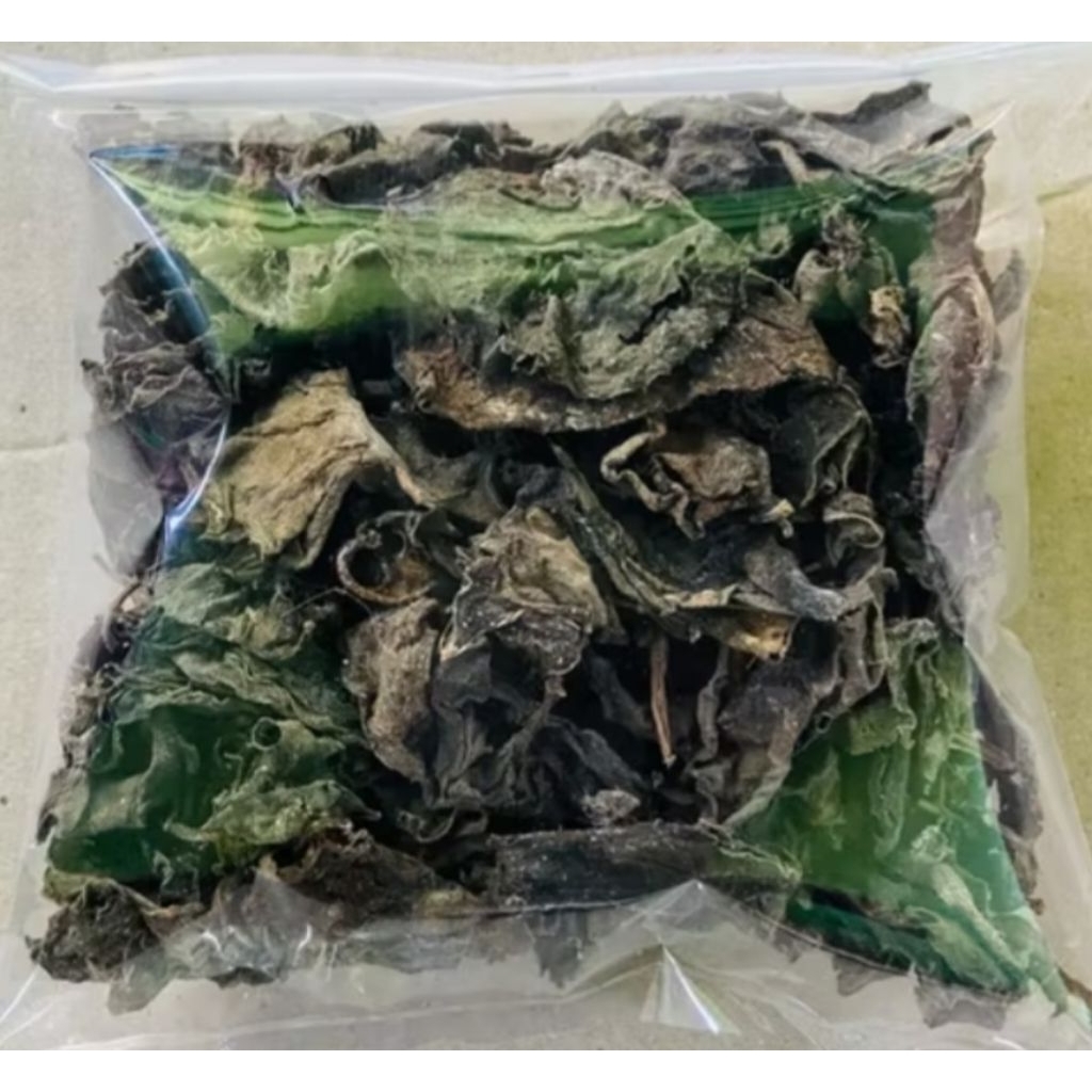 

Binahong kering tanfa batang berkualitas 50 gram