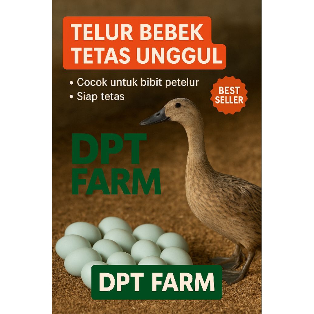 

TELUR BEBEK TETAS – Bibit Petelur Unggul | Fertilitas Tinggi | DPT FARM