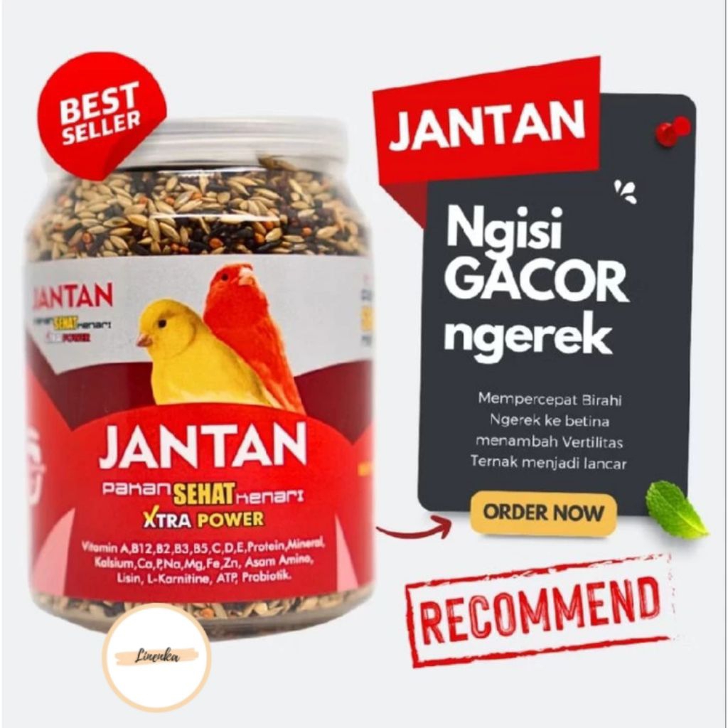 PAKAN BURUNG KENARI CAROLL JANTAN PAKAN SEHAT PENGGACOR BURUNG KENARI