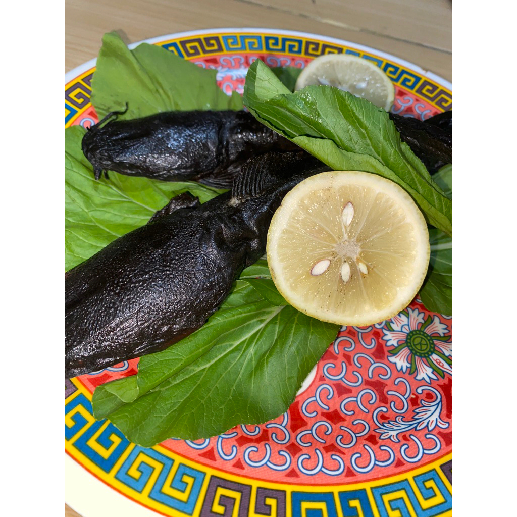 

Lele Asap Frozen Mantap