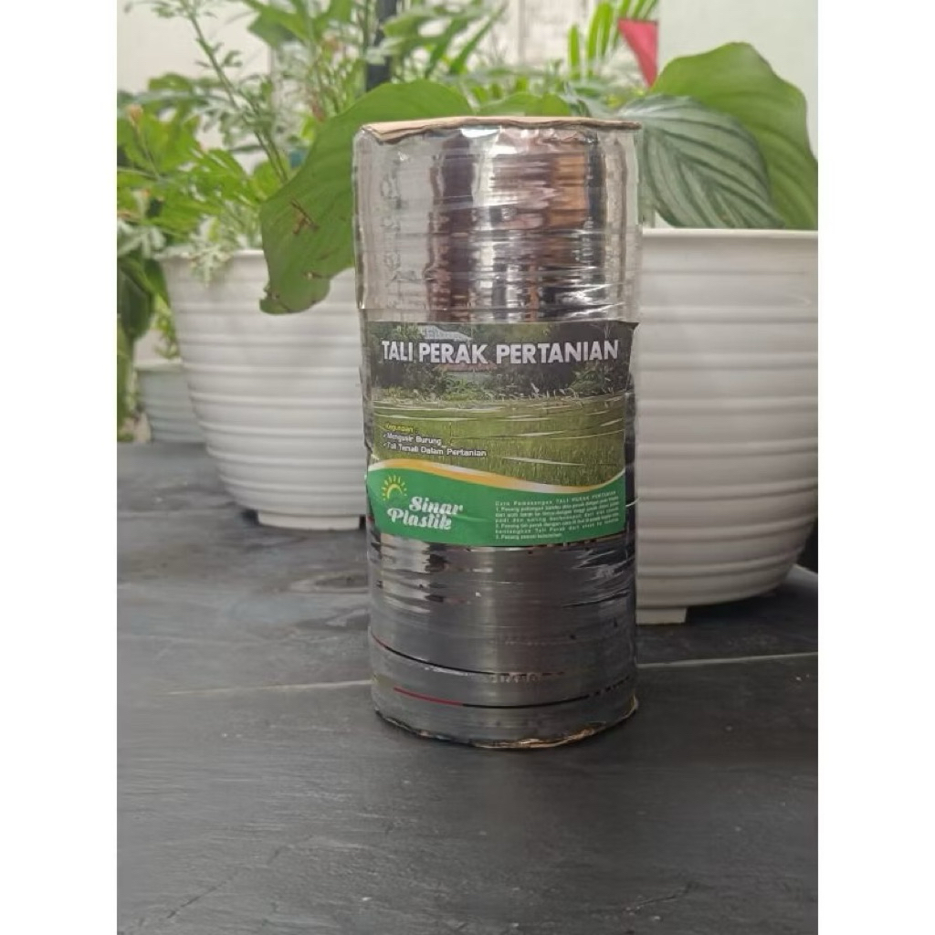 Tali Perak atau Tali Sawah Pengusir Burung Pipit