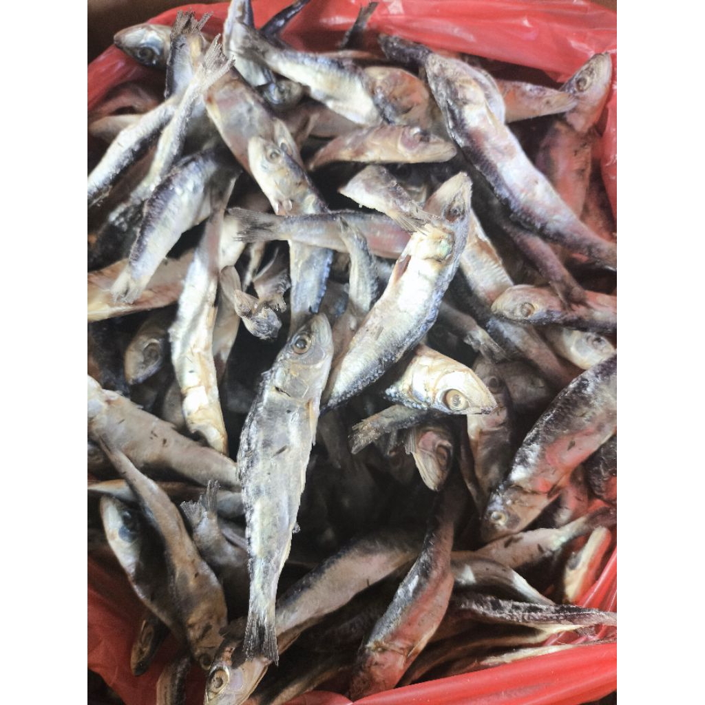 

IKAN ASIN SEMENIT/JUI 250GRAM