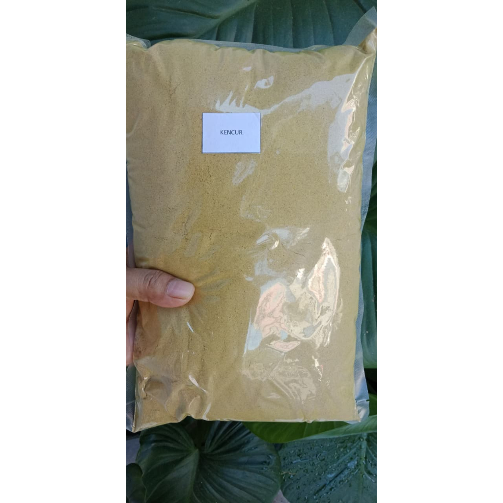 

Bumbu Masak Kencur / Rempah Kencur / Kencur Powder 1kg