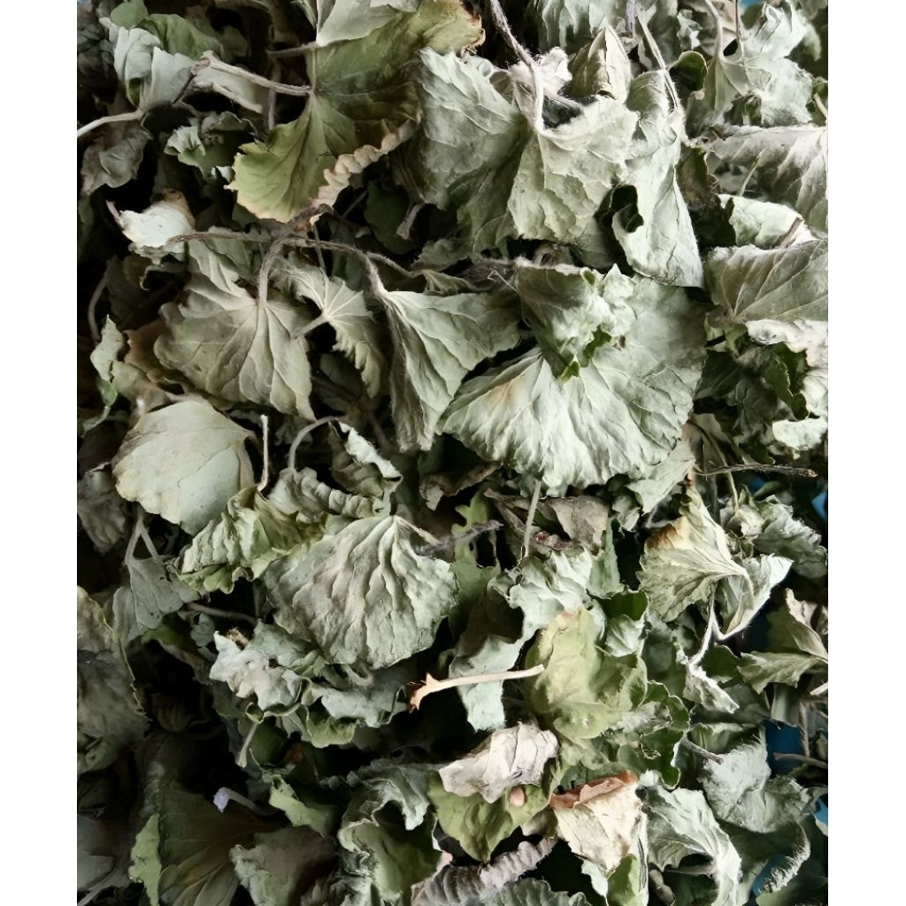 

daun pegagan kering 500gram tanpa tangkai
