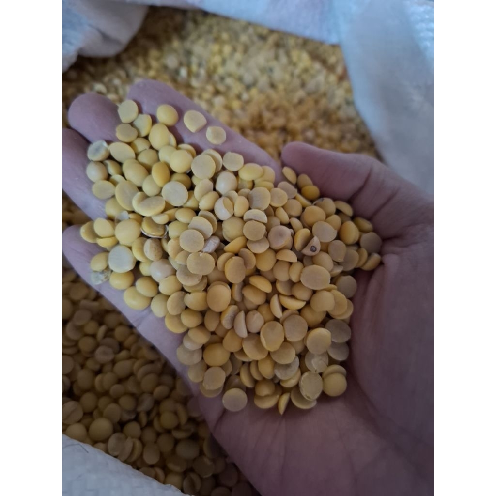 

Kacang Kedelai Kupas From USA 1 Kg