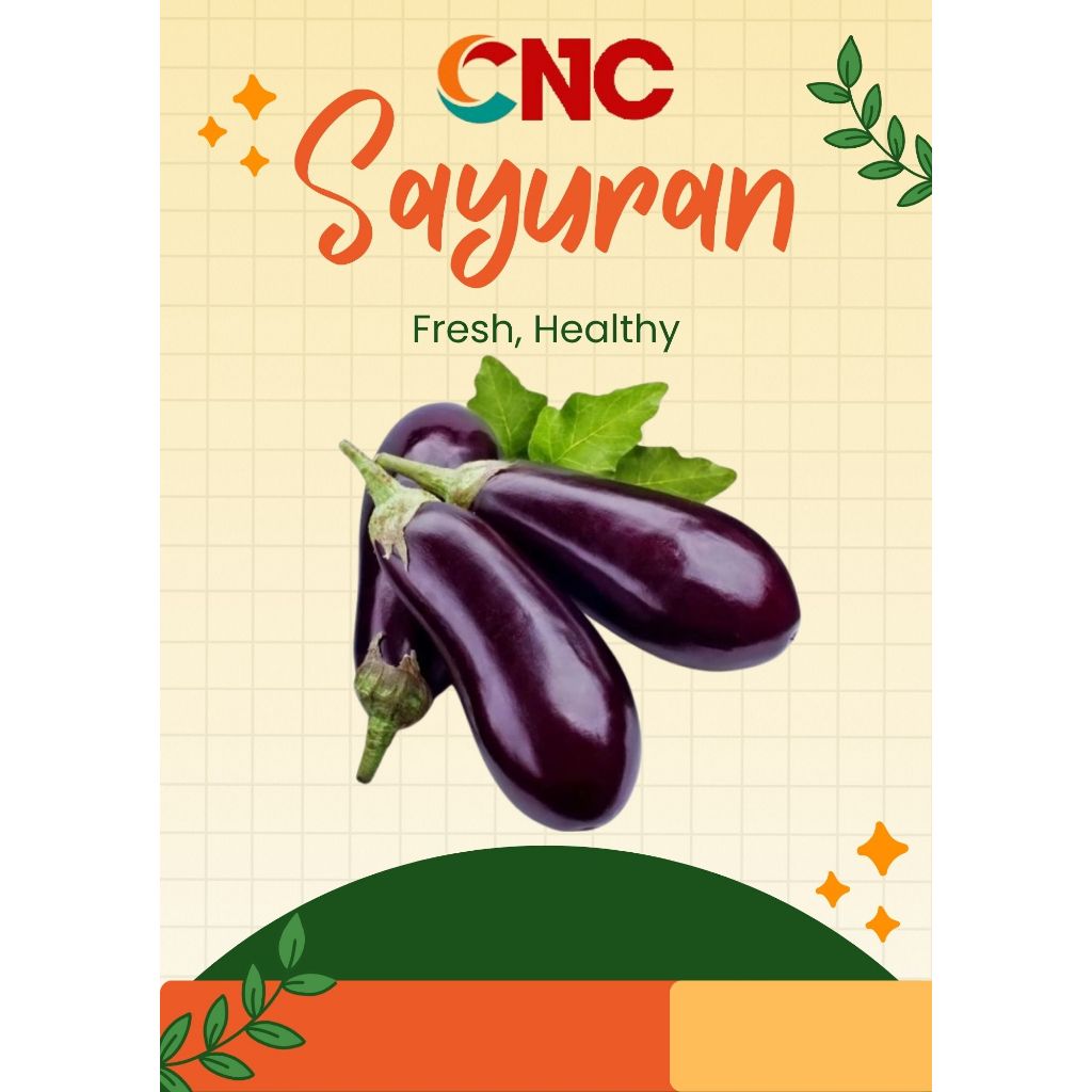 

KHUSUS INSTANT TERONG UNGU 500GR