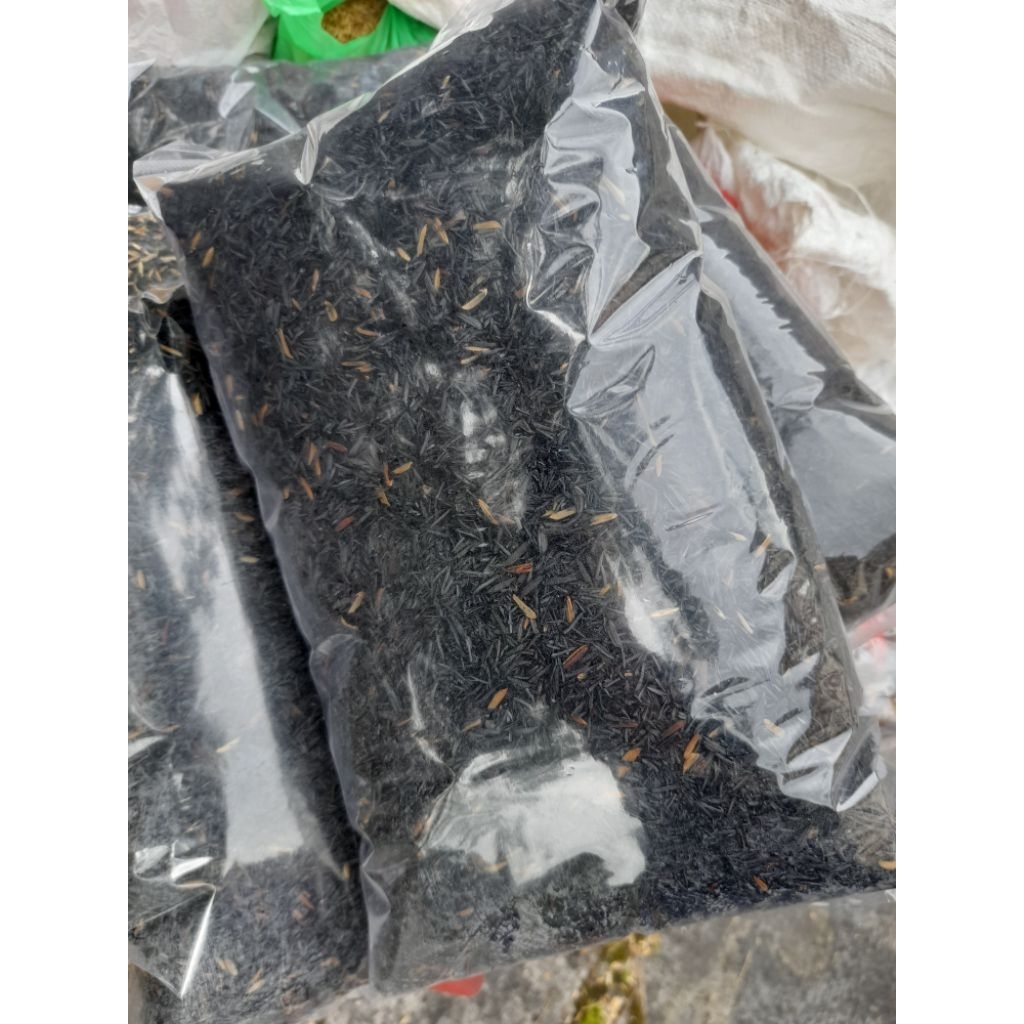 Arang Sekam/Sekam Padi Bakar