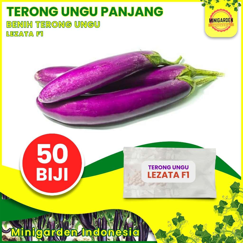 50 Benih Terong Ungu PANJANG Lezata F1 bibit tanaman sayuran terung