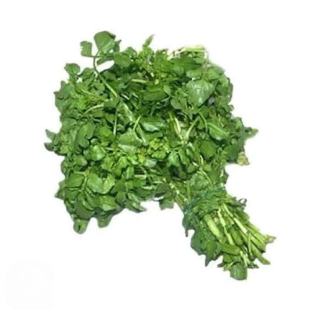 

Sayur Selada Air Segar 1 Ikat